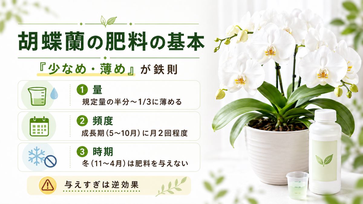 胡蝶蘭の肥料の基本｜「少なめ・薄め」が鉄則