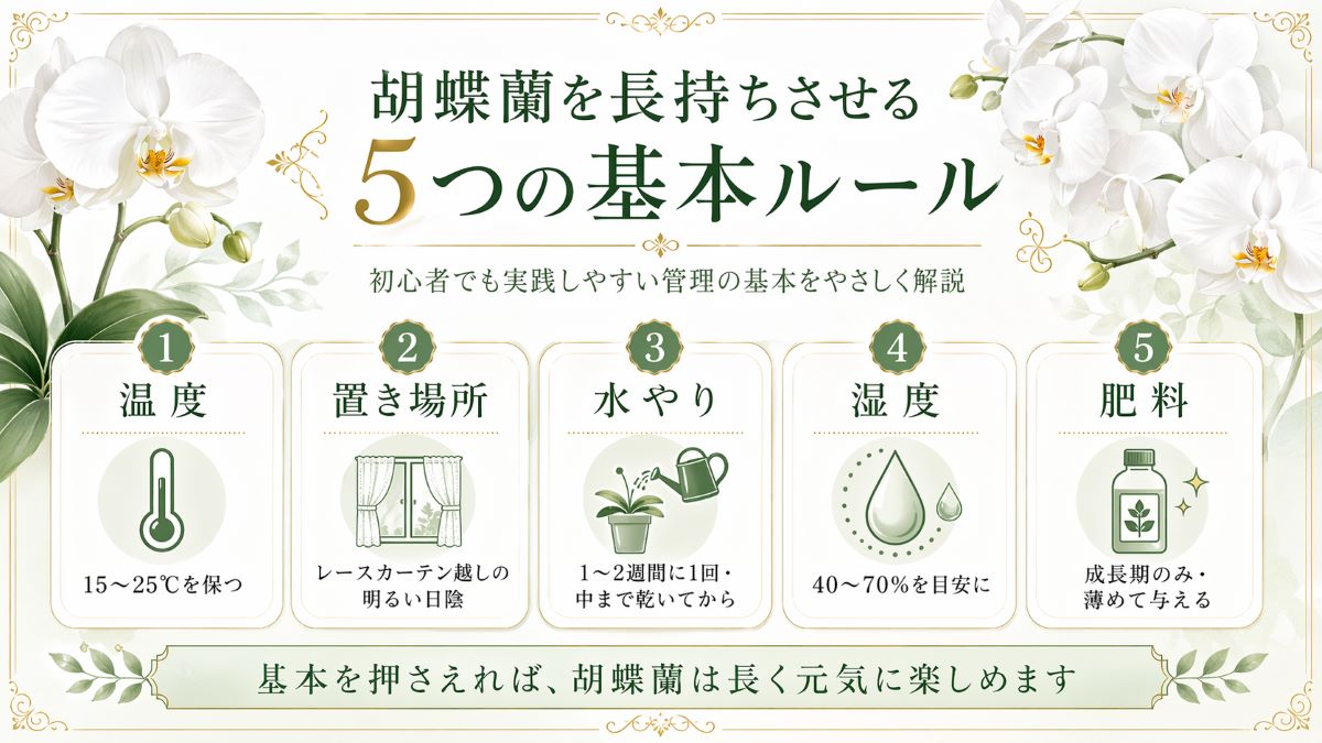 胡蝶蘭を長持ちさせる5つの基本ルール