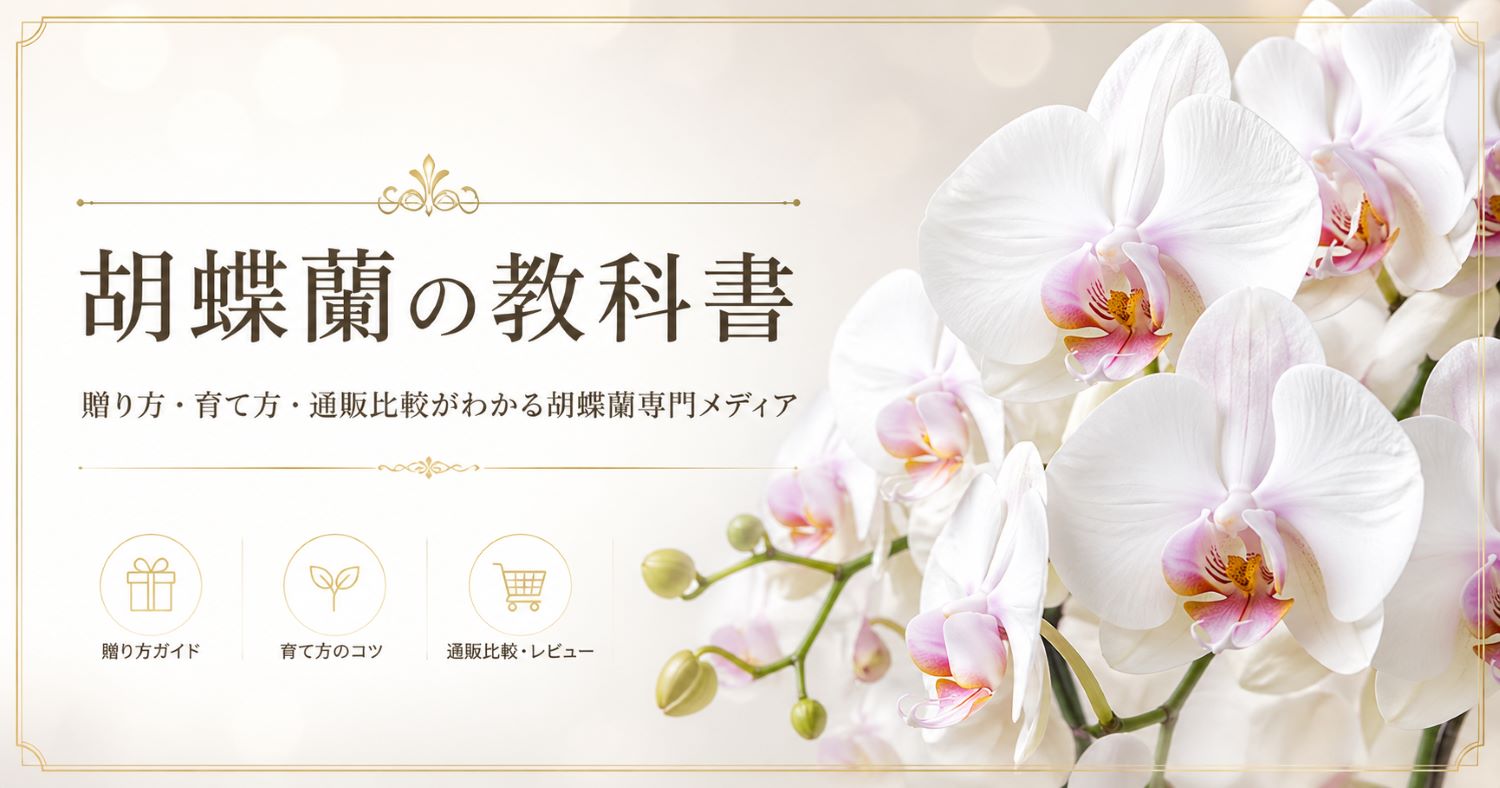胡蝶蘭の教科書 アイキャッチ画像