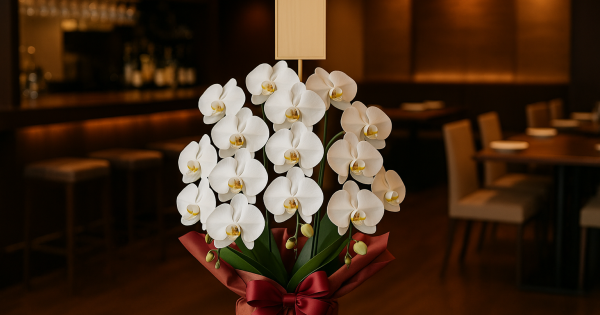 胡蝶蘭をお祝いに贈るマナー完全版｜色・本数・立札・予算の正解 1