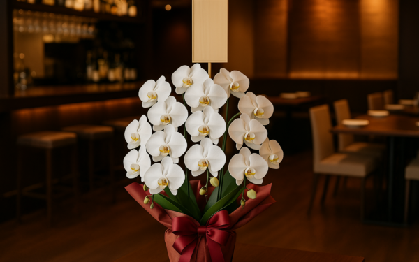 胡蝶蘭をお祝いに贈るマナー完全版｜色・本数・立札・予算の正解 1