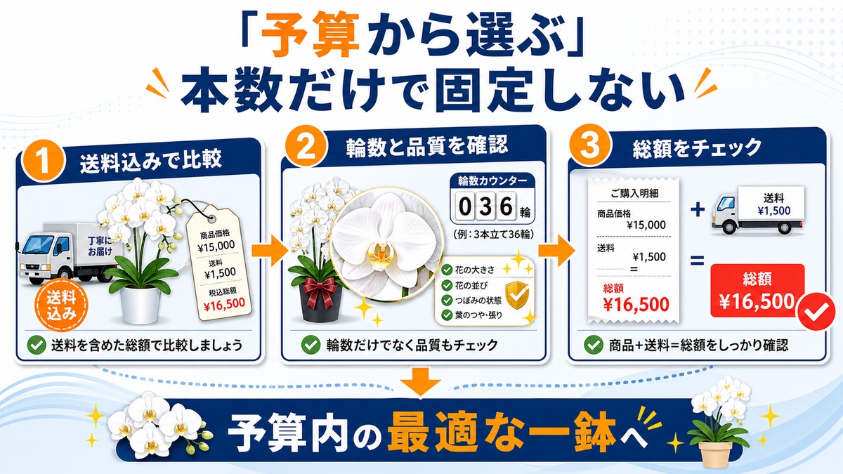 予算に応じた胡蝶蘭の本数選びを示すステップ図
