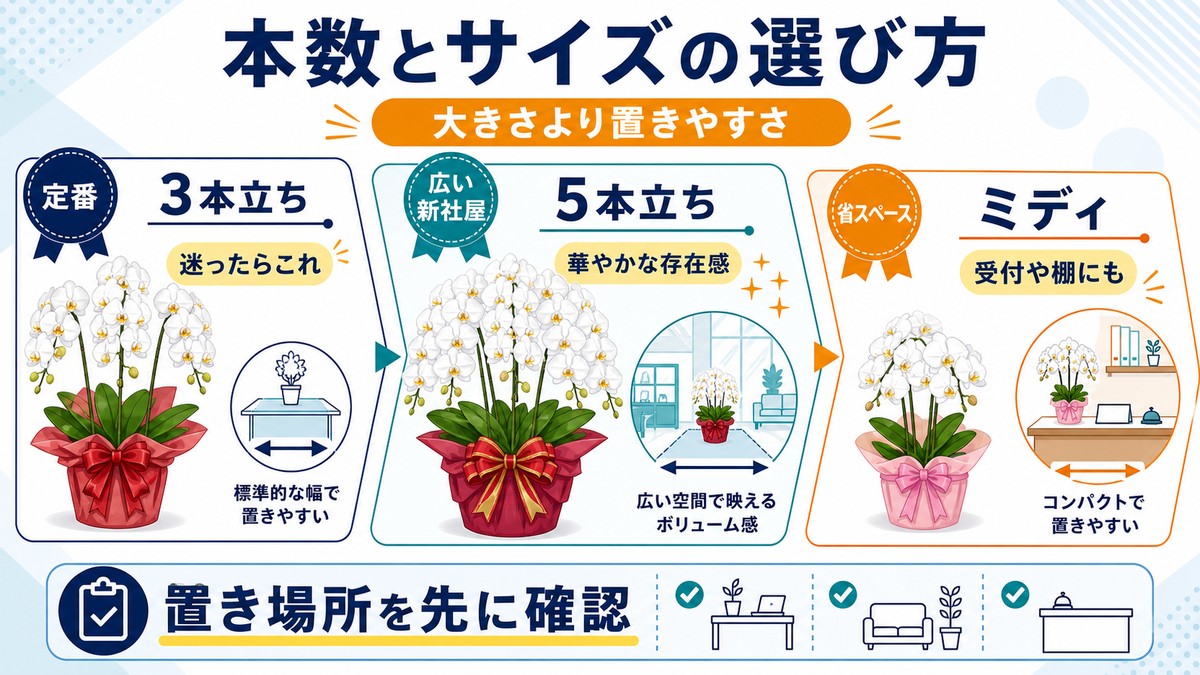 3本立ちと5本立ちとミディ胡蝶蘭の用途を比較する図解