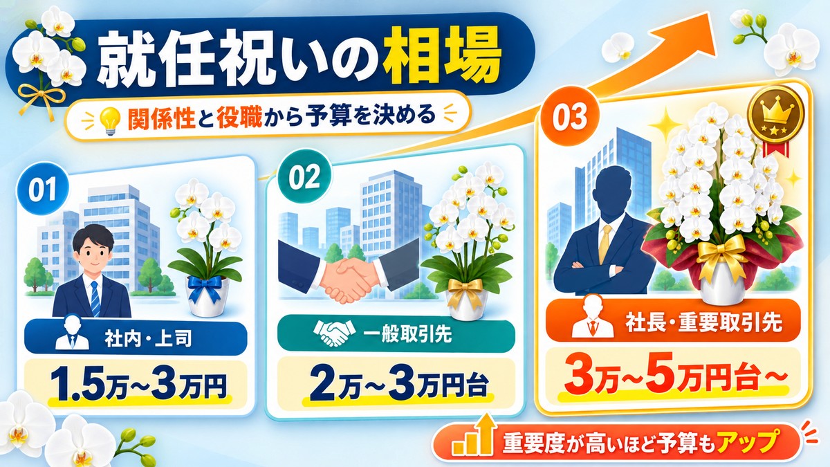 就任祝いの相手別に胡蝶蘭の価格帯を比較した図