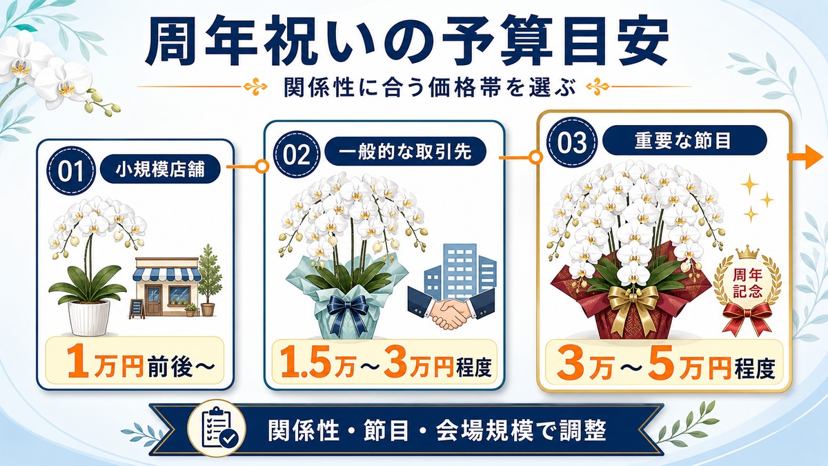 周年祝いの相手別に見る胡蝶蘭の予算目安