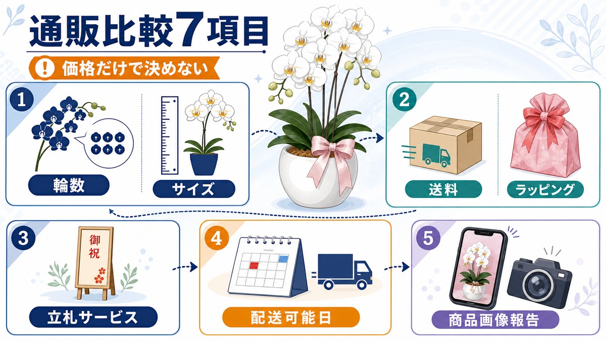 周年祝い用胡蝶蘭の通販ショップ比較項目