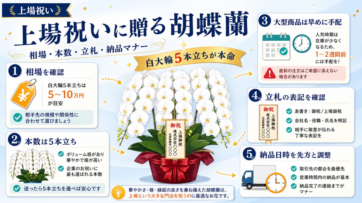 上場祝いとしてオフィスに飾られた白大輪の胡蝶蘭5本立ち
