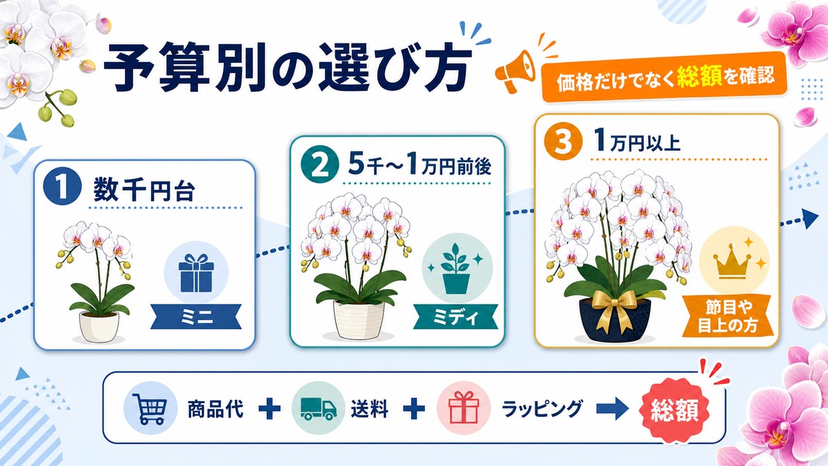 胡蝶蘭の予算帯と向いている誕生日祝いを比較する図解