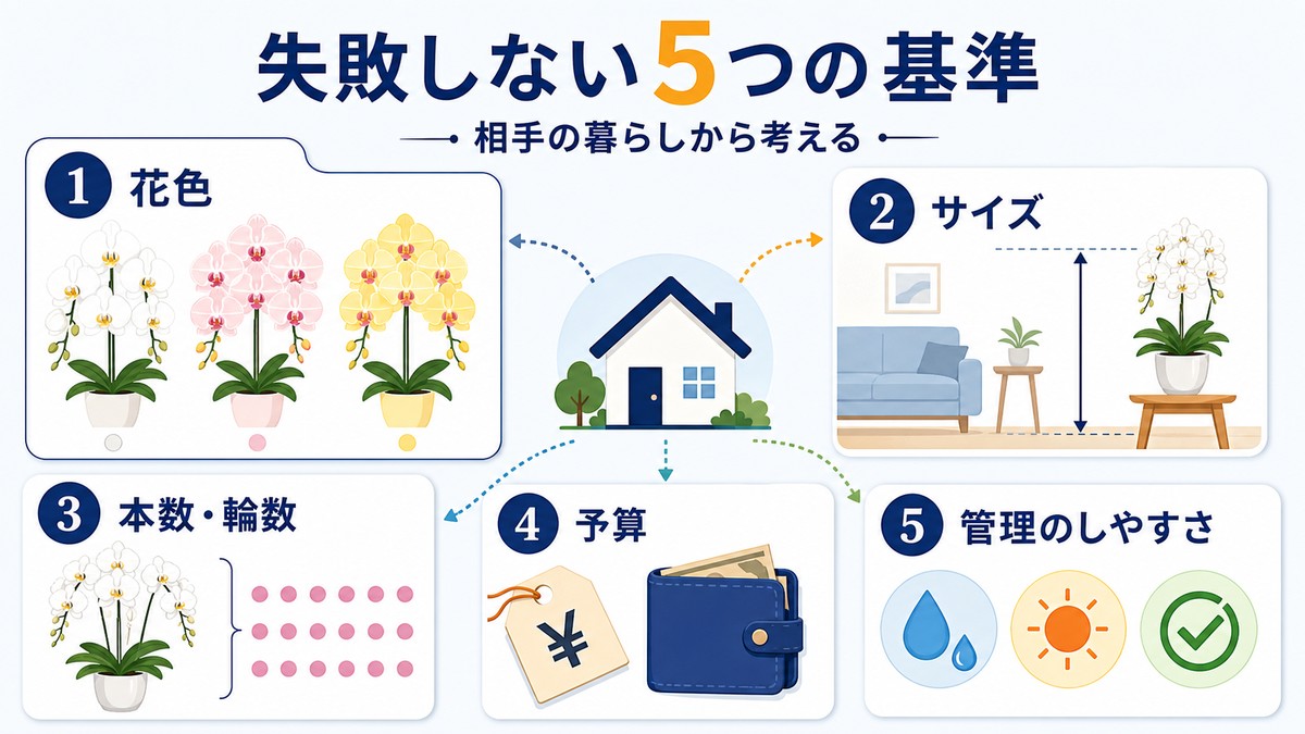 長寿祝いの胡蝶蘭を選ぶ5つの基準を示した図