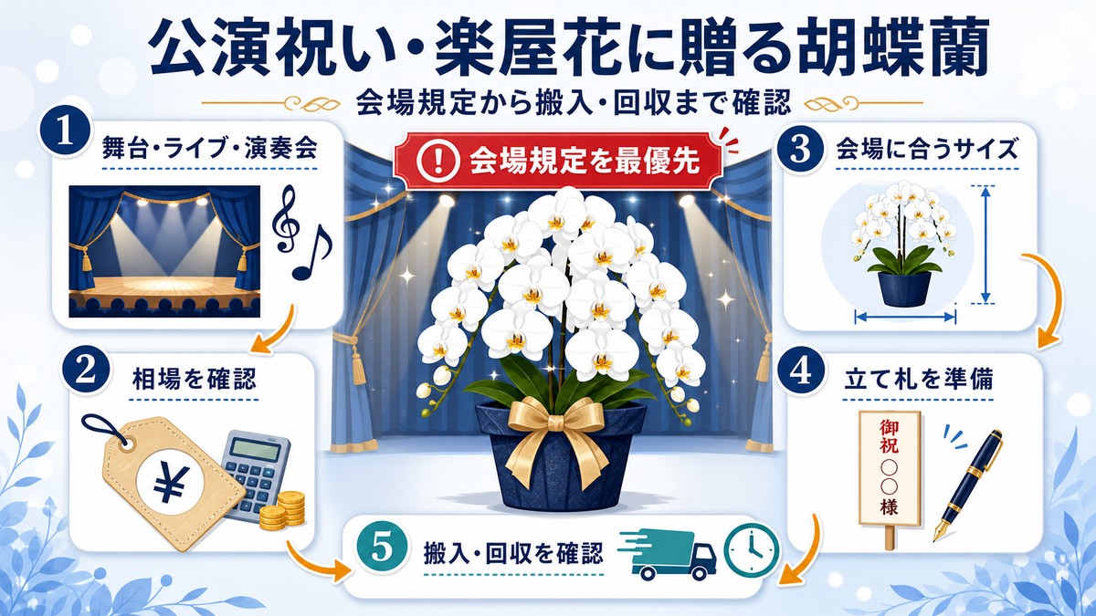 劇場の公演祝いとして飾られた白い胡蝶蘭