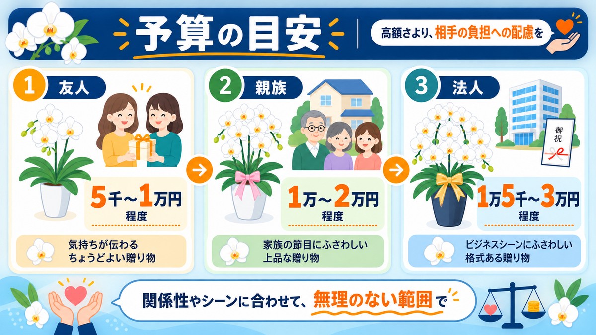 関係性と用途別にお供え胡蝶蘭の予算を示した図解
