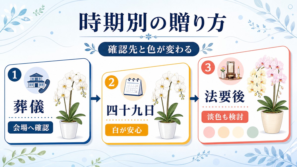 葬儀から四十九日、初盆、一周忌までの胡蝶蘭の贈り方