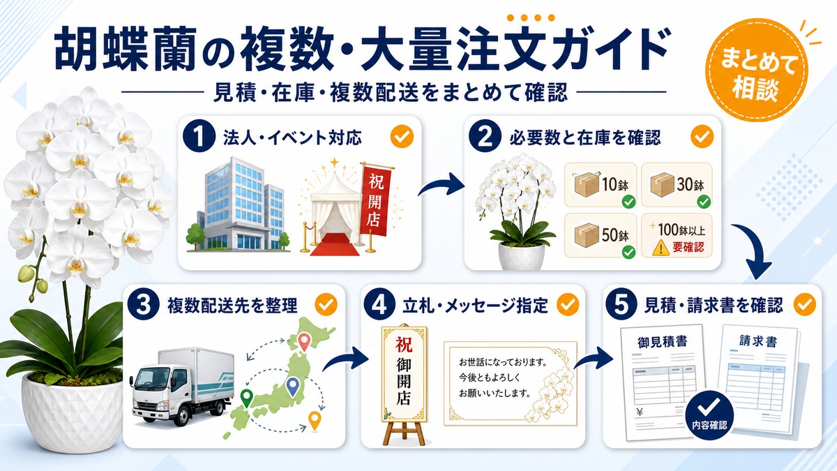オフィスで複数の白い胡蝶蘭と発注書を確認する法人担当者