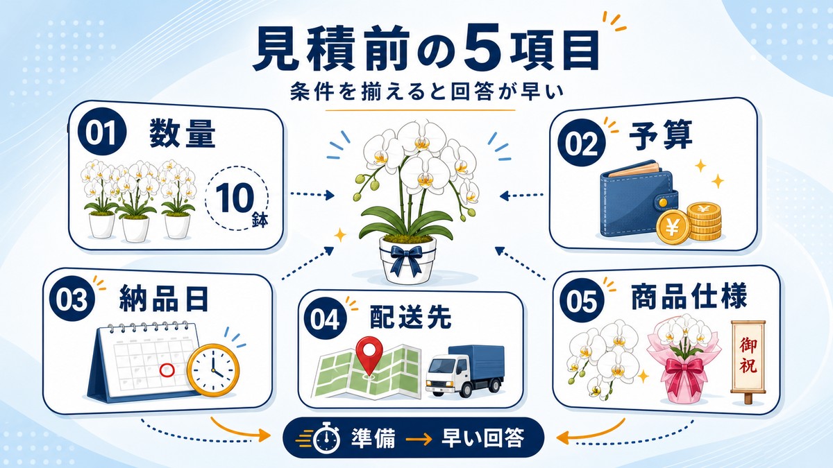 胡蝶蘭の大量注文で見積前に整理する項目の図解