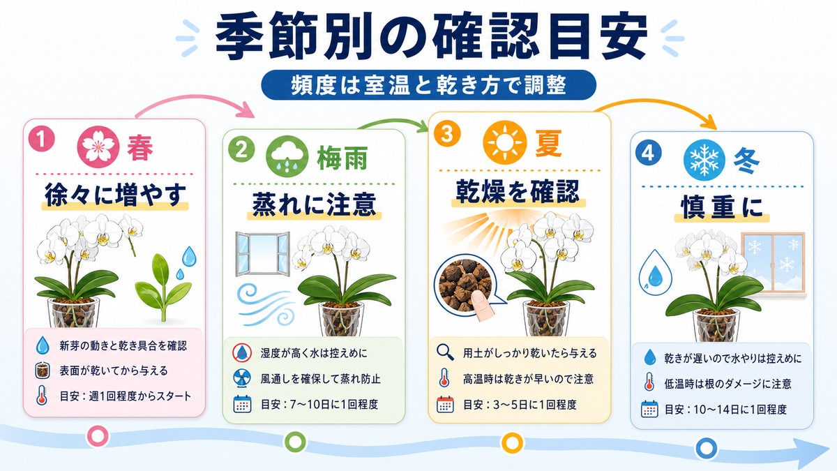 春夏秋冬における胡蝶蘭の水やり確認頻度の比較図