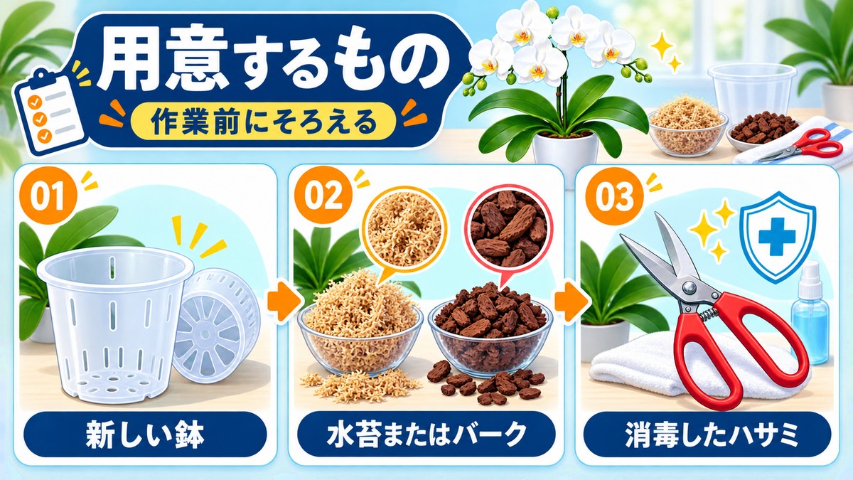 胡蝶蘭の植え替えに必要な鉢、水苔、バーク、ハサミ