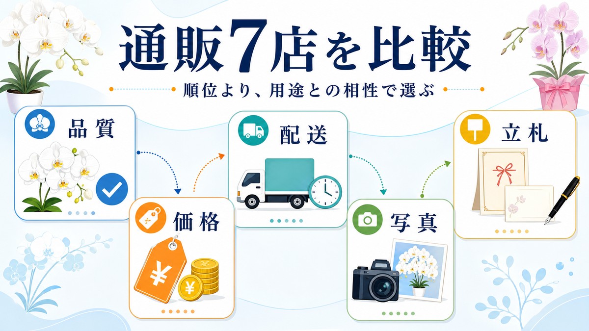 胡蝶蘭通販7店を5つの基準で比較する図