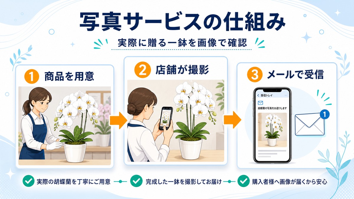 胡蝶蘭の撮影から画像受信までを示す図解