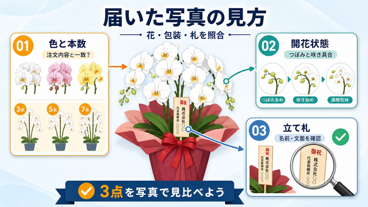 胡蝶蘭の花と立て札とラッピングの確認箇所