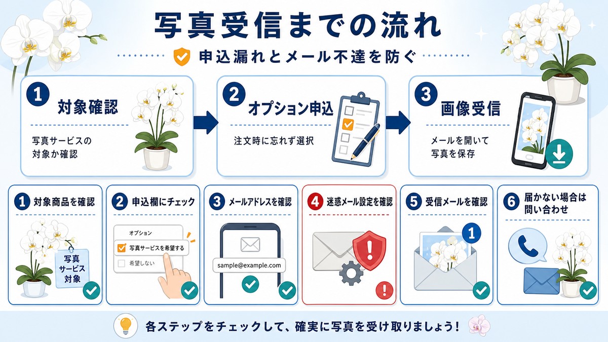 胡蝶蘭を注文して写真を受信するまでの手順