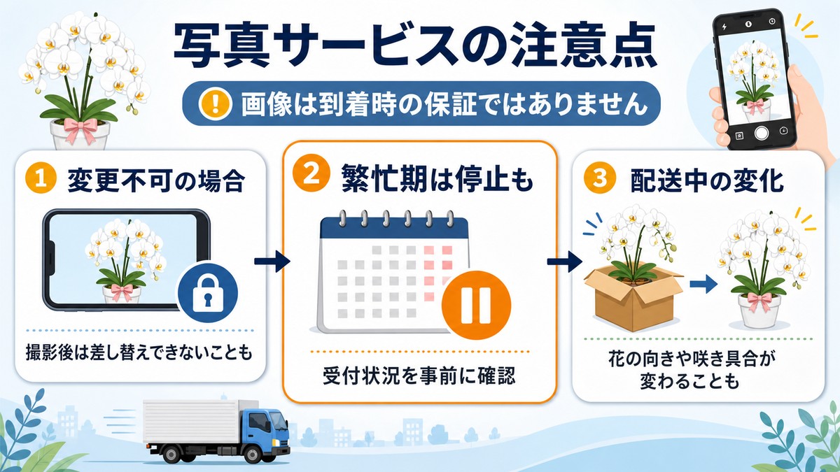 胡蝶蘭の写真サービス利用時の注意事項