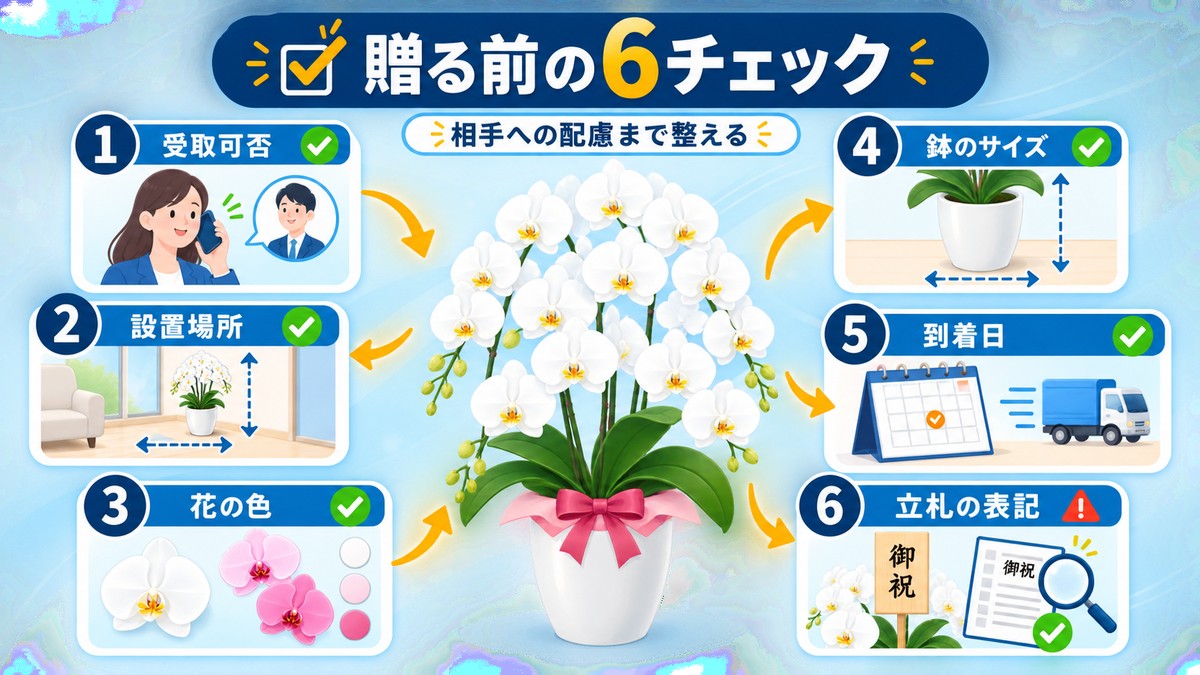 胡蝶蘭を贈る前に確認する項目をまとめた図解