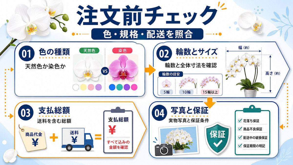 紫の胡蝶蘭を通販で注文する前の確認事項