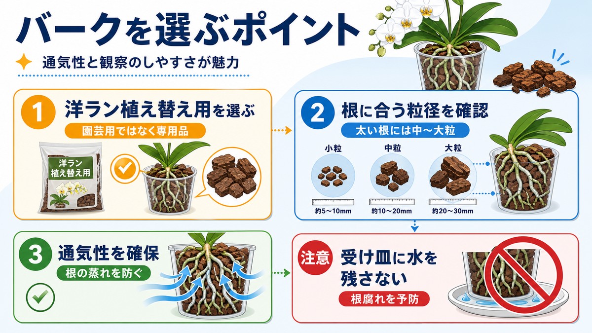 胡蝶蘭用バークチップと透明なプラスチック鉢