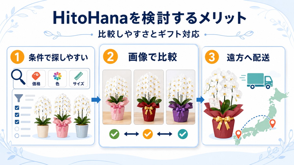 HitoHanaで胡蝶蘭を選ぶメリットの図解