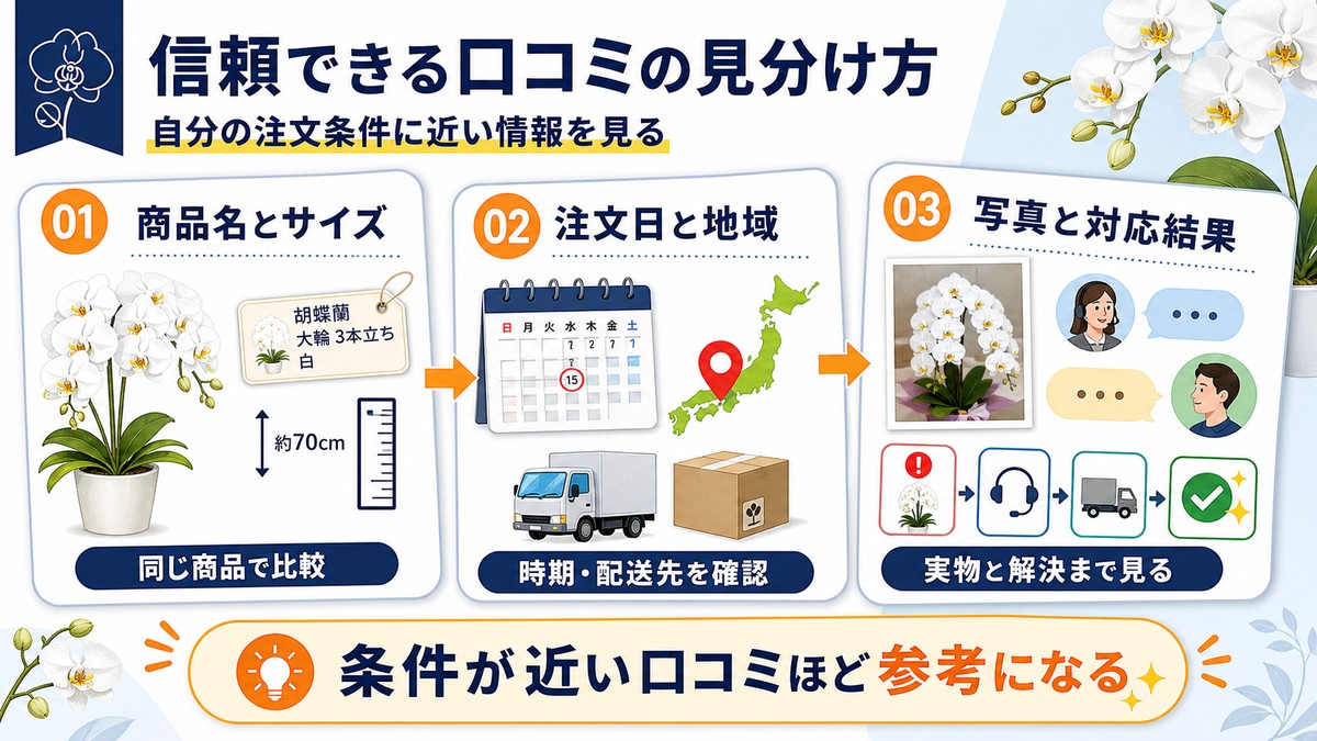 HitoHanaの口コミを判断するための確認項目